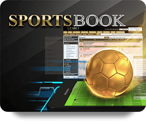 Understanding Online Poker Tournaments: A Comprehensive Guide